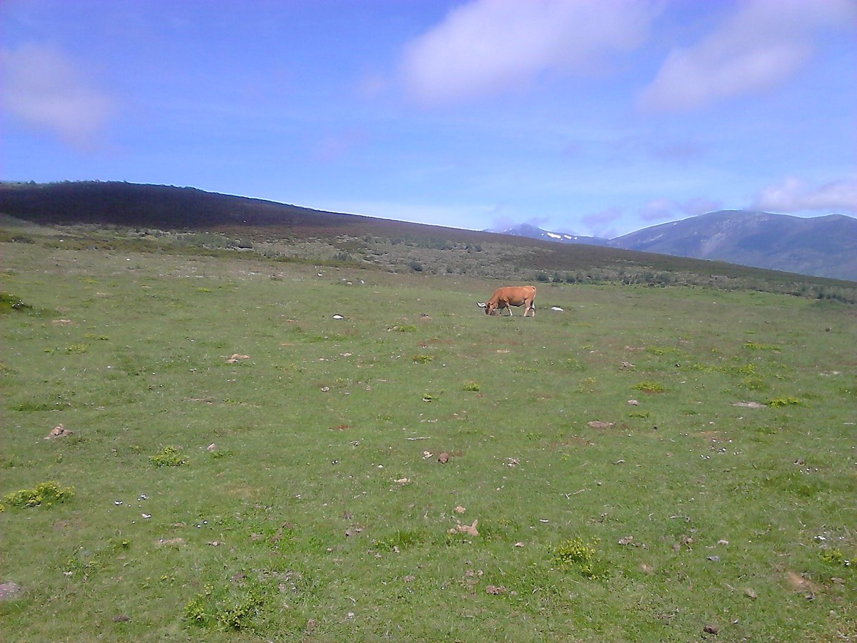1976agus's tweet photo. Buenos días desde Campoo de Suso. Ya había muchas ganas de descubrir los #GlaciaresCampurrianos con @pangeaproyectos https://t.co/ULlYn7ooGs