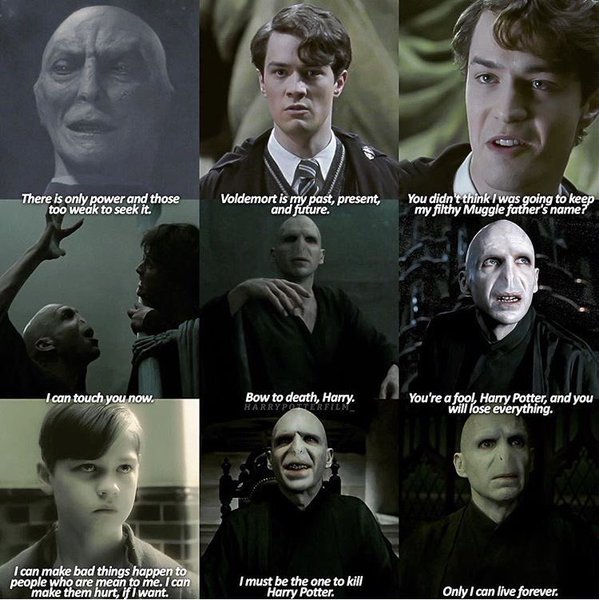 Harry Potter World on Twitter: "Voldemort quotes…