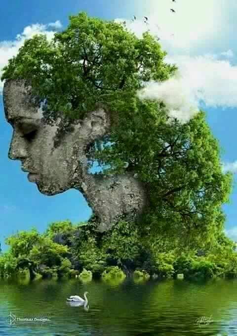 hasan88641's tweet photo. https://t.co/ZLkokEgUNb