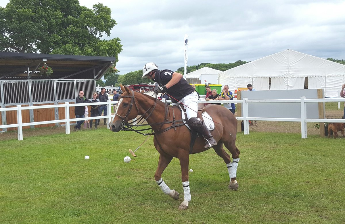 Watch our introduction to polo with <a href="/jfpoloacademy/">J F Polo Academy</a> in the demo arena NOW!