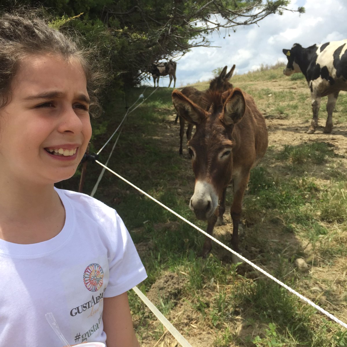 gustabruzzo_it's tweet image. Buongiorno @Mammadovemiport bellissima giornata al caseificio Santa Caterina #chese #formaggio