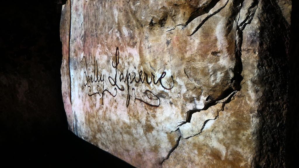 lexy_design's tweet photo. Nouvelle visite guidée à Bailly-Lapierre ! #guideconférencier #yonne #VinsdeBourgogne https://t.co/sMI9hsV5by