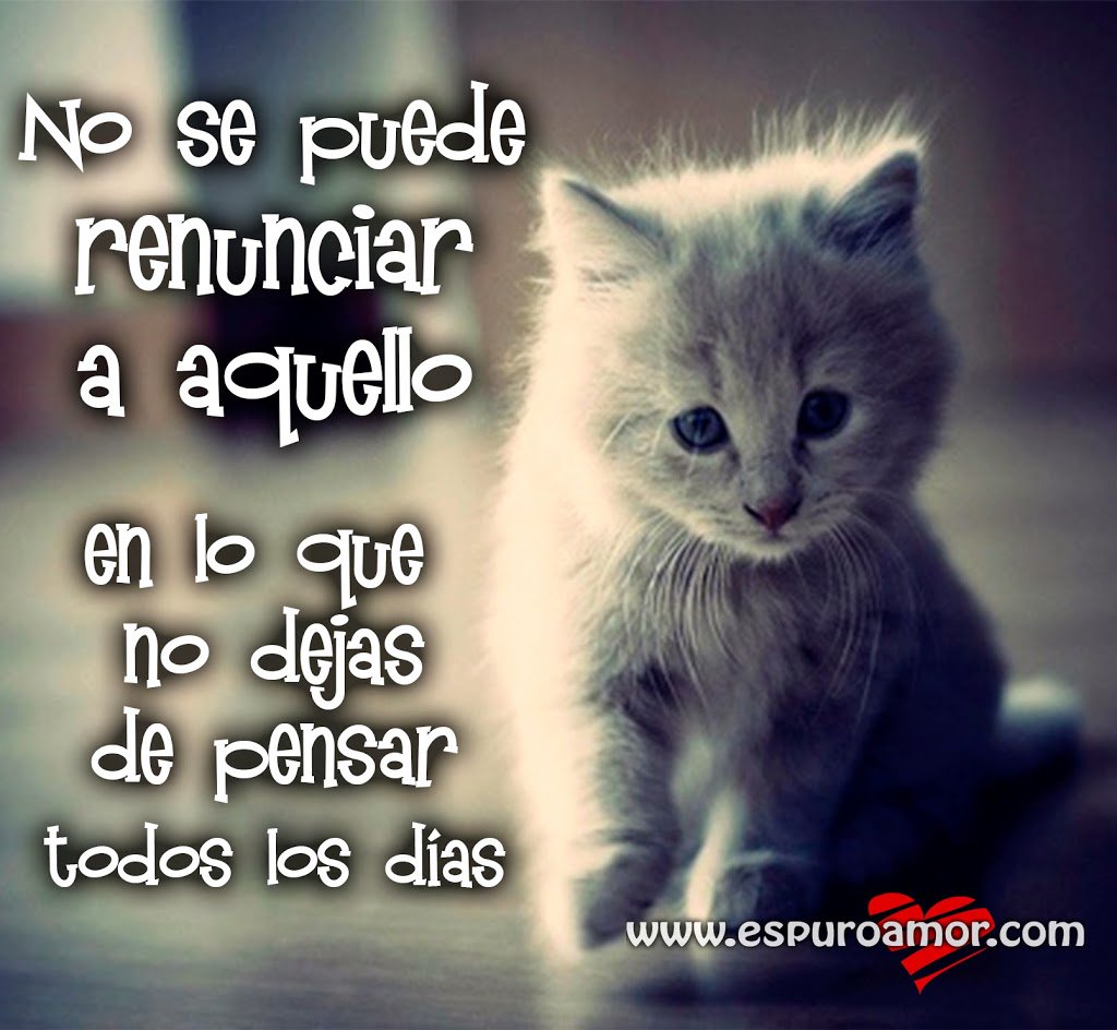 Leonel_Suarez13's tweet photo. :( :( :( :( :( https://t.co/3UgZ7CpMCp