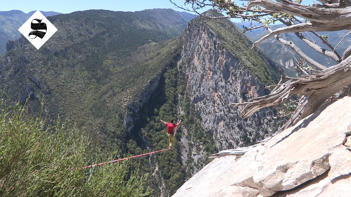 Le Supplément tweet media