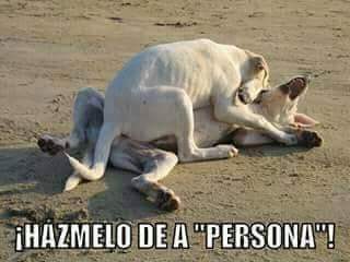 MarkLion1595's tweet photo. Jajaja.   Buen Domingo mi gente https://t.co/oBHGWDMxv3
