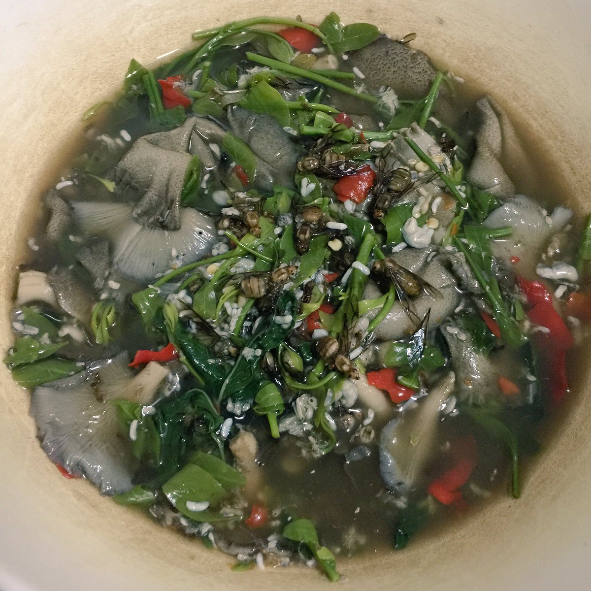 GoldJacket's tweet photo. แกงผักหวานแม่เป้ง!!! #ant #soup #oishi https://t.co/FGSf34E1Am