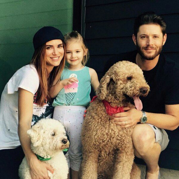 MoorRachel's tweet photo. Love these photos of the #PadaleckiFamily and the #AcklesFamily❤ #SPNFamily https://t.co/OLopbfzQG9