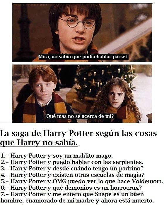 Hogwarts on X: La saga de Harry Potter según las cosas que Harry no sabía.  ⚡️  / X