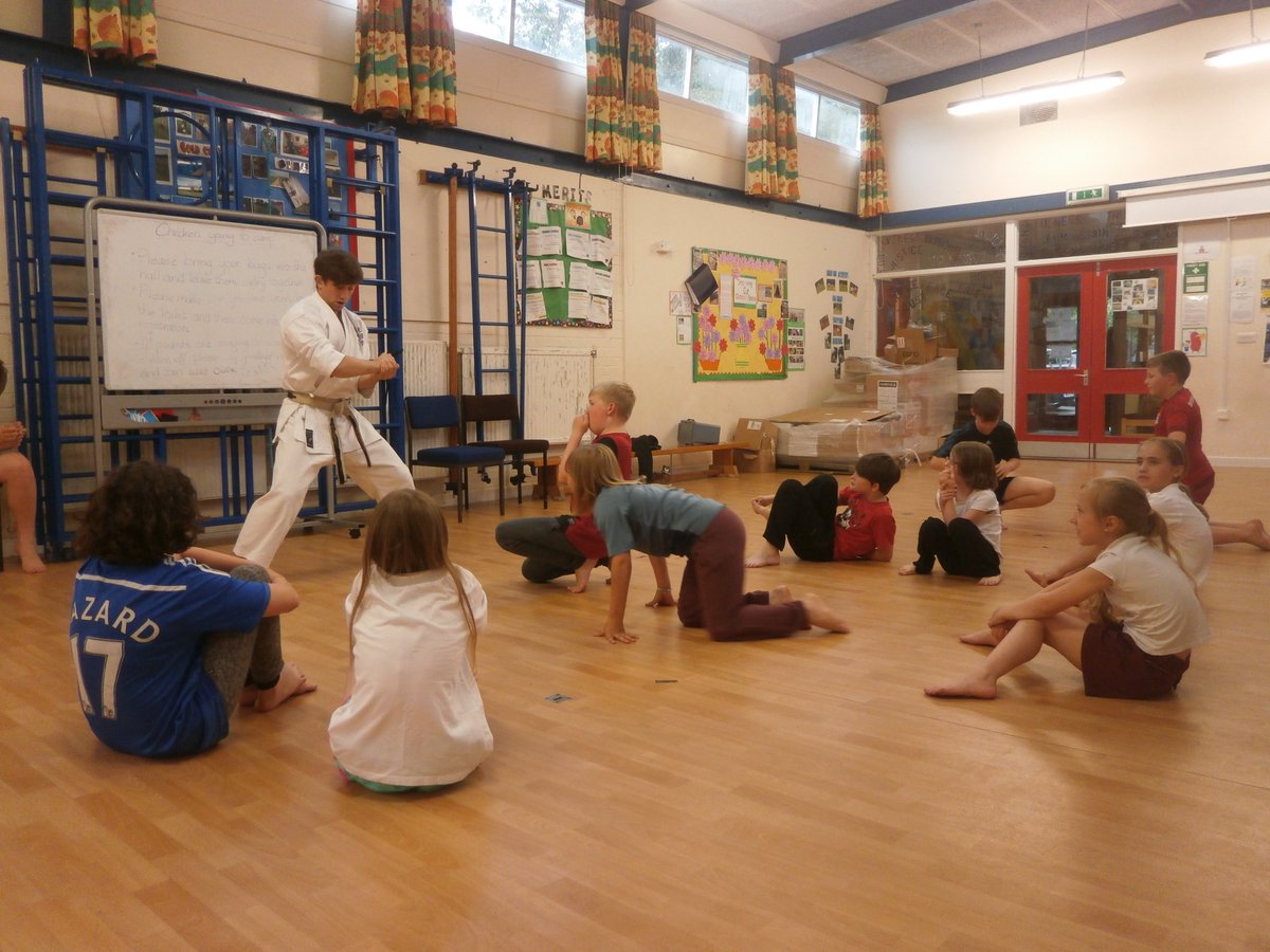 GillinghamPE's tweet image. Thank you for TKF for providing a great Karate taster session for Swans and Skylarks class on Monday afternoon! #PE