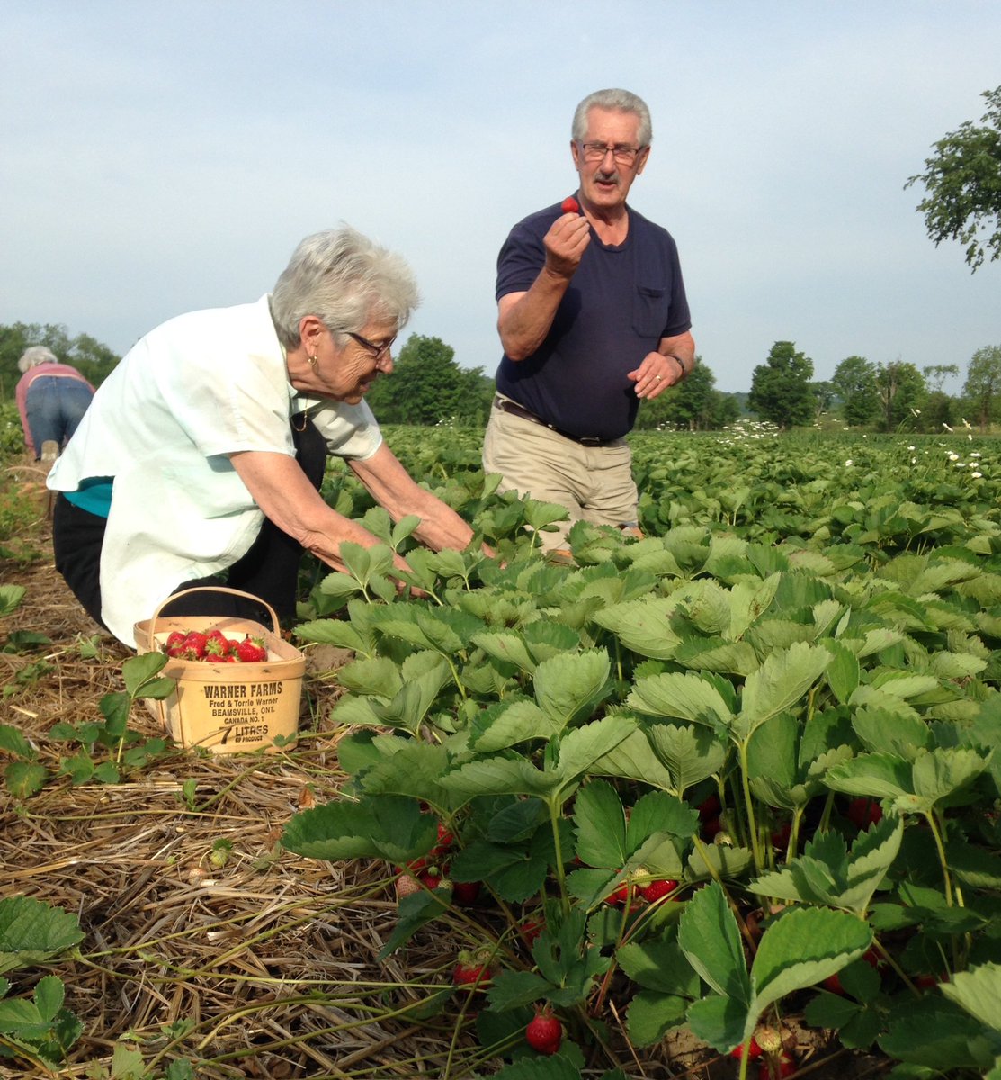 Awesome picking this morning at Coulson Ridge Farm!!!