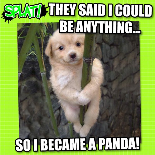 splatmag's tweet photo. Heart if you love cute dogs! Download #SplatMag FREE now! #dogs #cute #lol https://t.co/MZlTXb8i5D https://t.co/M04xvNe1KY