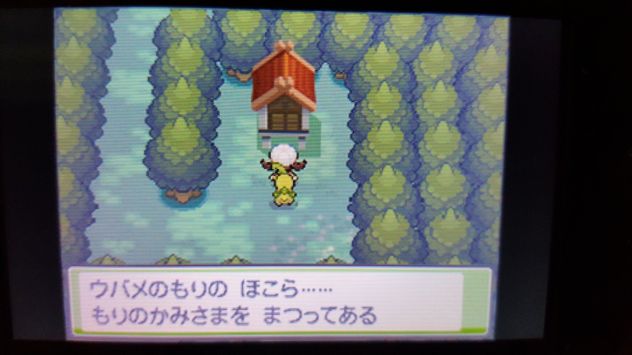 にっしー ウバメのもりのほこら 昔 セレビィ関連の色んな噂が出回った記憶があります ポケモンハートゴールド T Co Kfqtjhqwcl Twitter