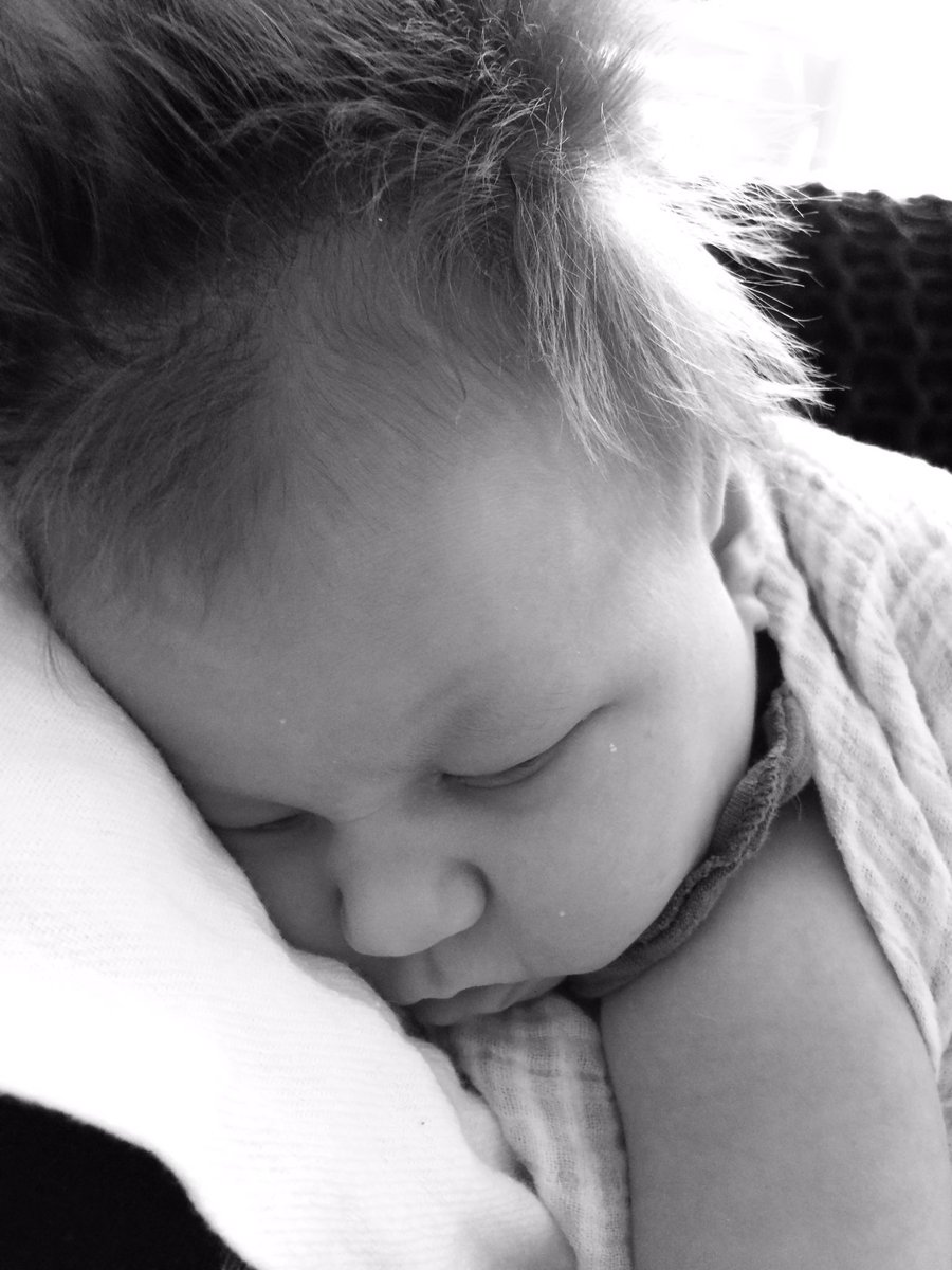 Meeeshigan_Man's tweet photo. Thank you, Scout for making me the happiest father in the world!!! Daddy loves you!!!! https://t.co/GyTdtAPso3
