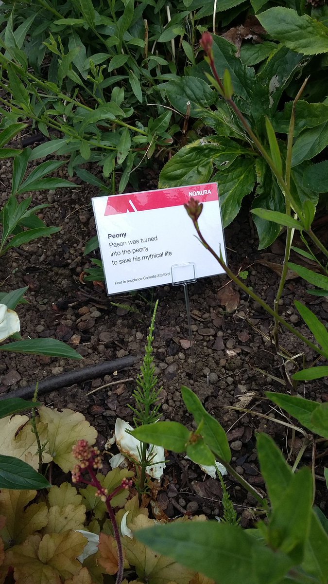 dianemulholland's tweet photo. Stop 8 on our #OGSW16 tour is Nomura. Amazing place, complete with poet! #remixedborders https://t.co/3Zbdk3v04H