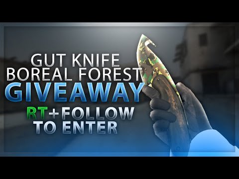 CsgoRetweet's tweet photo. Gut knife boreal forest ft giveaway retweet and follow to enter, giveaway ends 7/4/16 #csgo #knife #giveaways #ez https://t.co/q13Z9Lec85