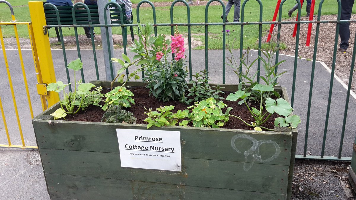WilmslowInBloom's tweet photo. Great plants @FotCarrs by @primcottnurs Fab mix of edible @IncrEdibleWilms &amp; bug friendly floral #ButterfliesandBees https://t.co/uFaRytF8AY