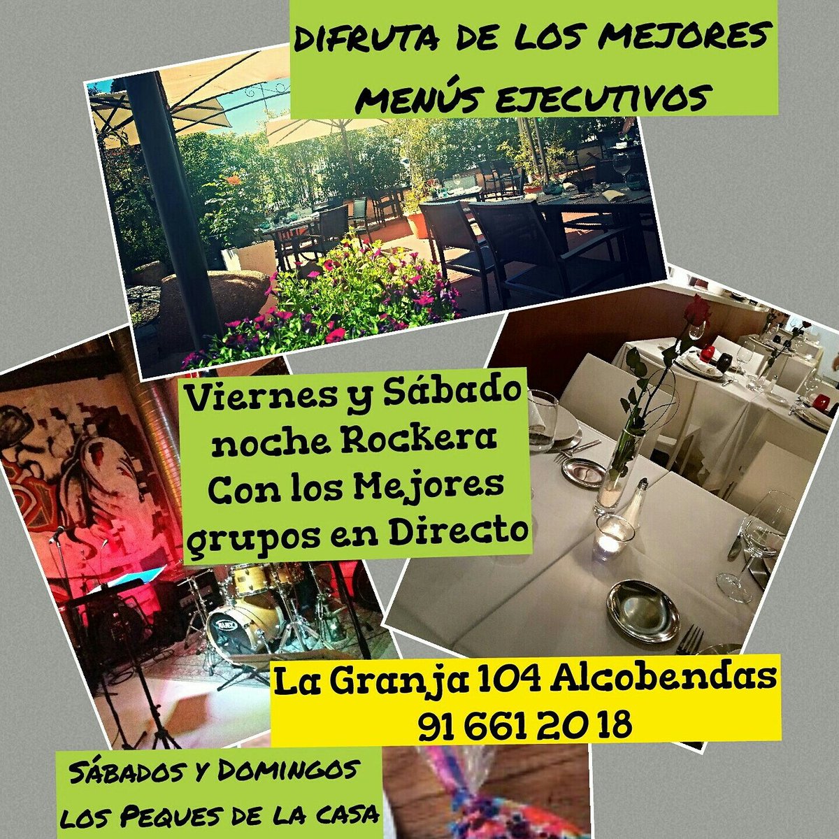14 Rosas tweet media