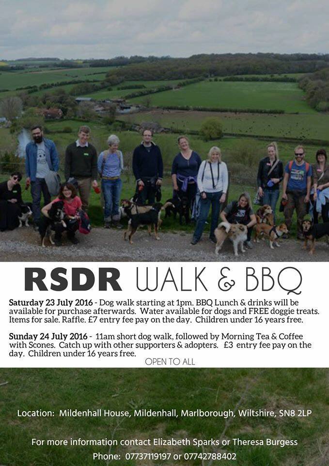 RSDR's tweet image. This year's UK walk with Diane &amp;amp; Tony is in Wiltshire on 23/24 July. Want to join us?
facebook.com/events/1083275…