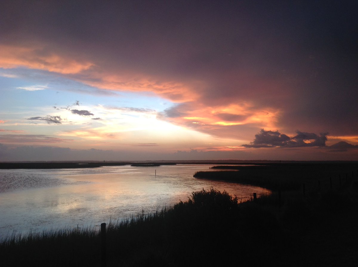 blondsugar1's tweet image. #abc13eyewitness