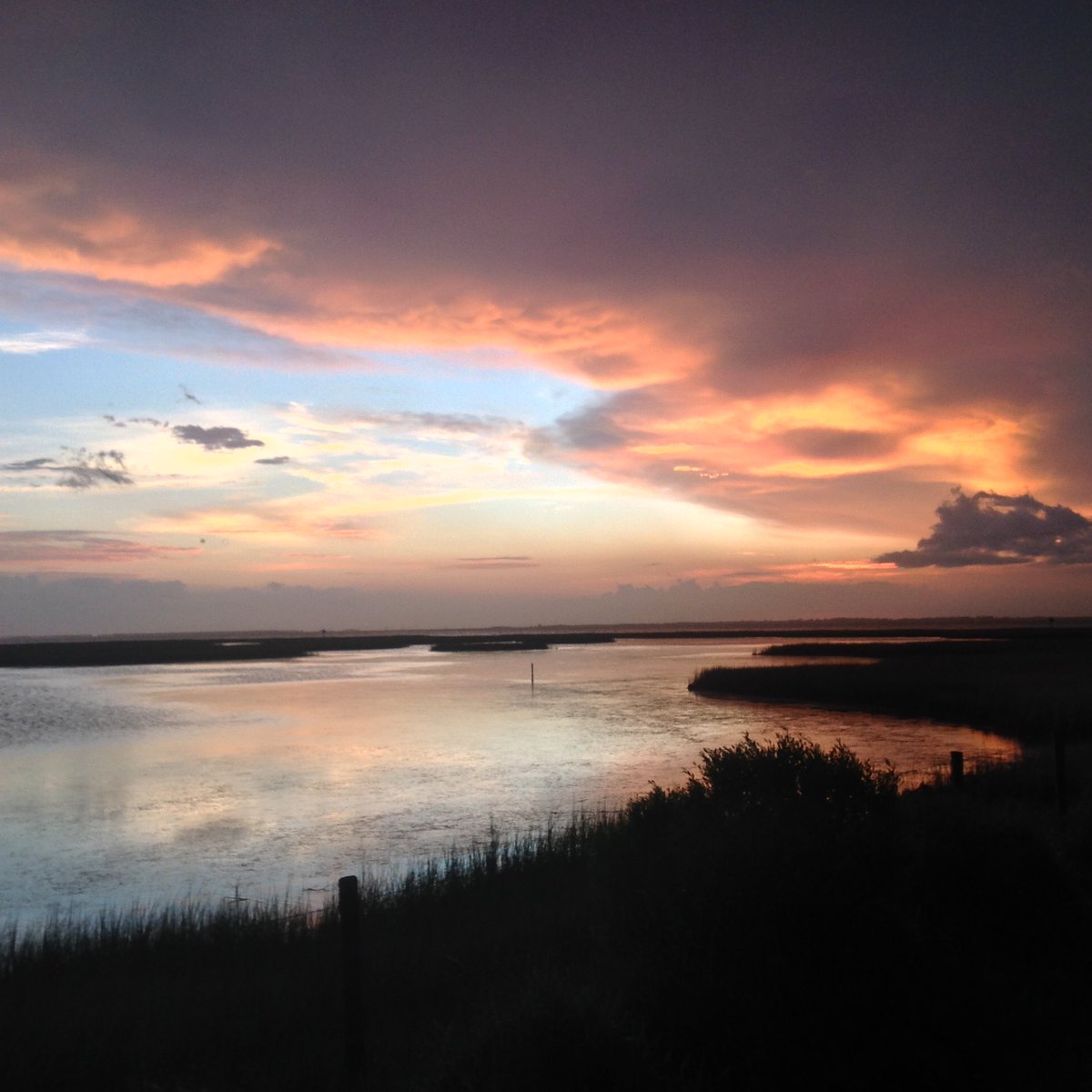 blondsugar1's tweet image. #abc13eyewitness