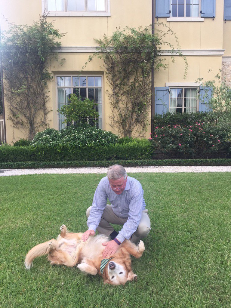 SpyHogan's tweet photo. Happy Father's Day @rfhoganjr. Big woofs. 🐶 https://t.co/AAyAWqyK8p