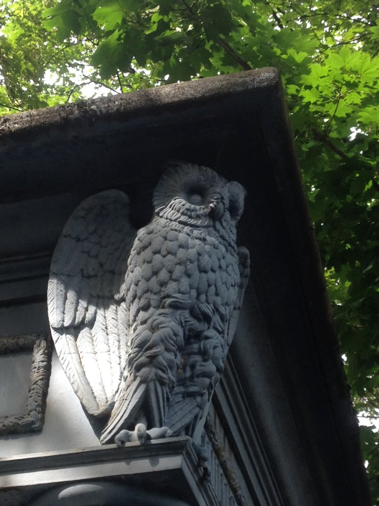 Saara Marchadour tweet media