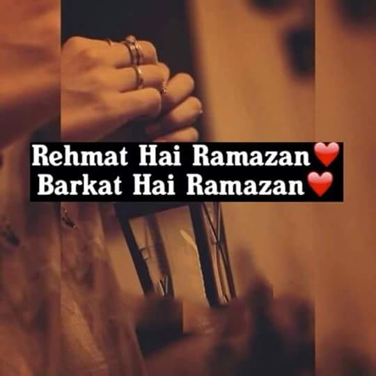 SohniKuriii's tweet photo. Ramazan A Beautiful Gift
From Allah To All Muslims❤ https://t.co/AT8Pm2pEu5