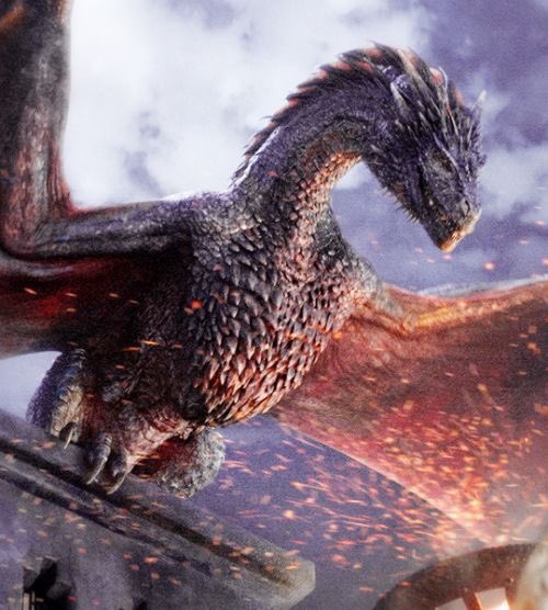 GameOfRTFAV's tweet photo. best creature?

RT for Dragons
FAV for White Walkers https://t.co/ovsj3EAmp7