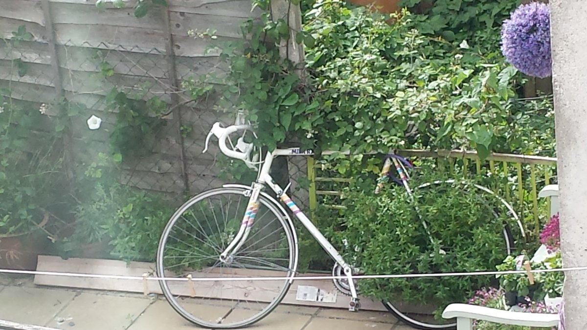 easejon's tweet image. I've heard of barn finds, but a hedge find ? looks like a quality bike. Shame it's in someone's garden. # bikes