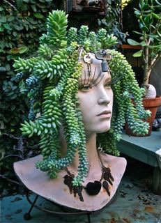LadyRaynbow's tweet image. #Plants #CreativeContainers #ArtInNature #LandscapingDecor 💗💚💙🌴🌷🐦🌴🌻🌲🐸🐞🐢🐝🐌🐍