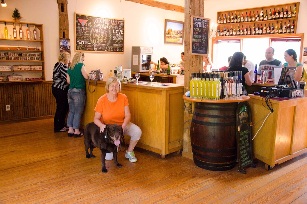 Fun afternoon at <a href="/SixMileCreek/">Six Mile Creek Vineyard</a>   Great wine. Fenway had fun too. @Kelly_Dibble #clwt #cayugalake