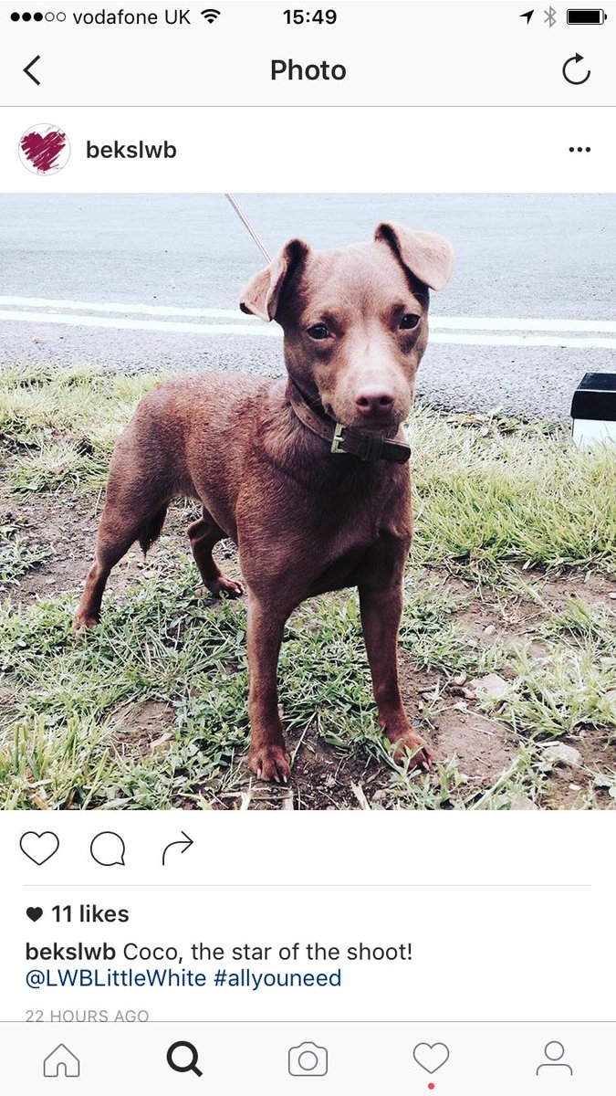 LWBmagazine's tweet image. #weddingoclock #SneakPeek of the cover shoot for the #SS17 @LWBLittleWhite magazine @Converse 👰🏻🎩💕