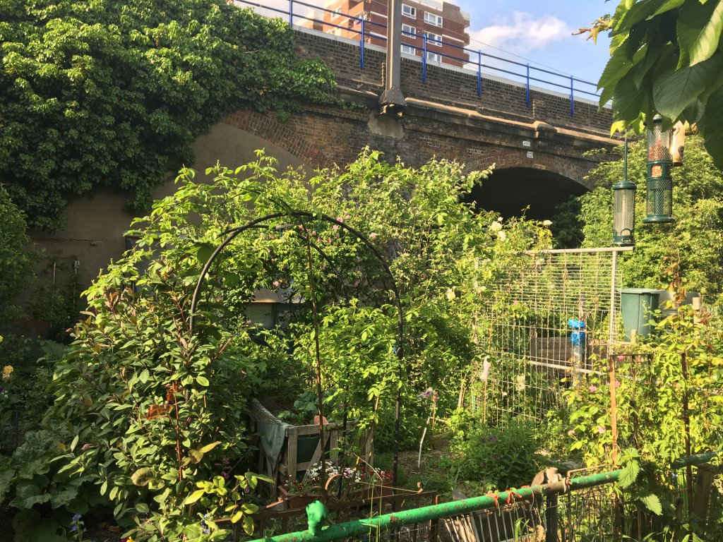 jcniala's tweet photo. 14: head to the arches; The cats' territory #OGSW16 #remixedborders @OpenSquares @poetryschool@hackneywick https://t.co/GgfRnr7jpp