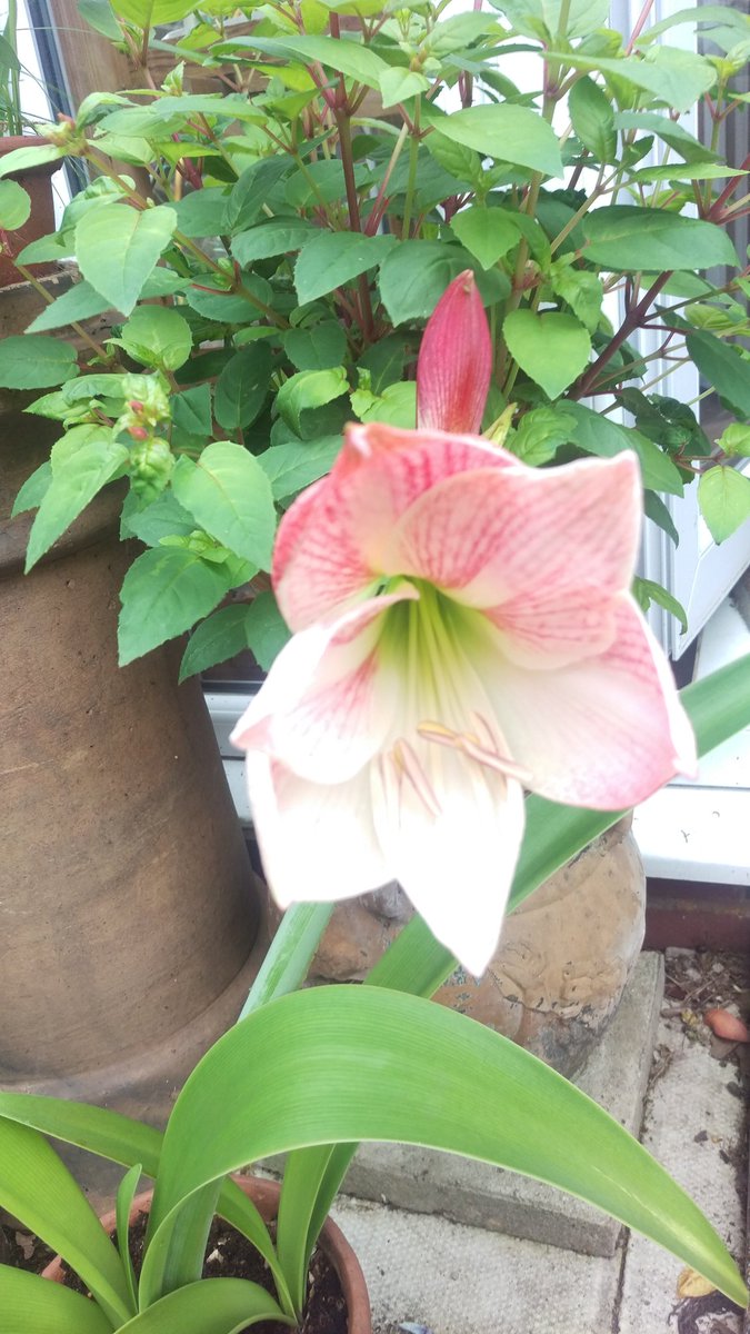What am I?