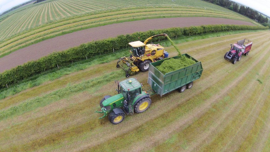 David Park tweet media