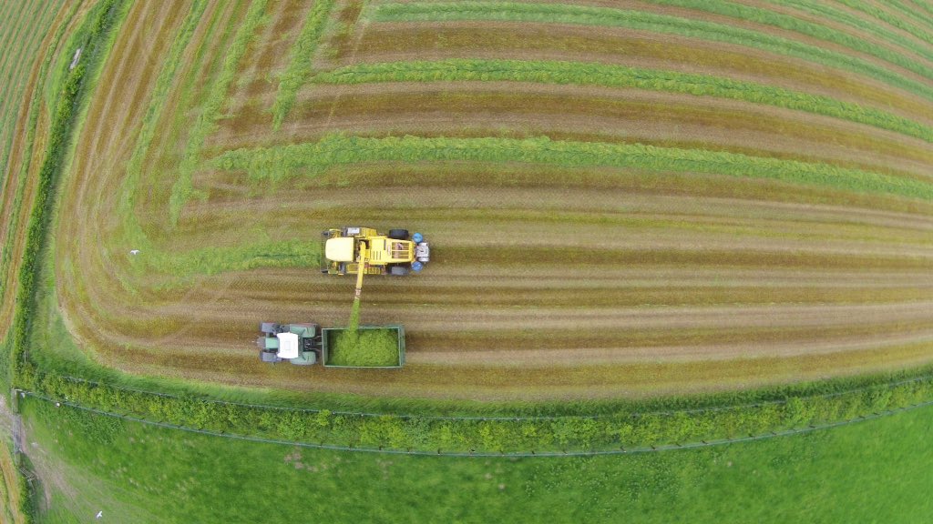 David Park tweet media