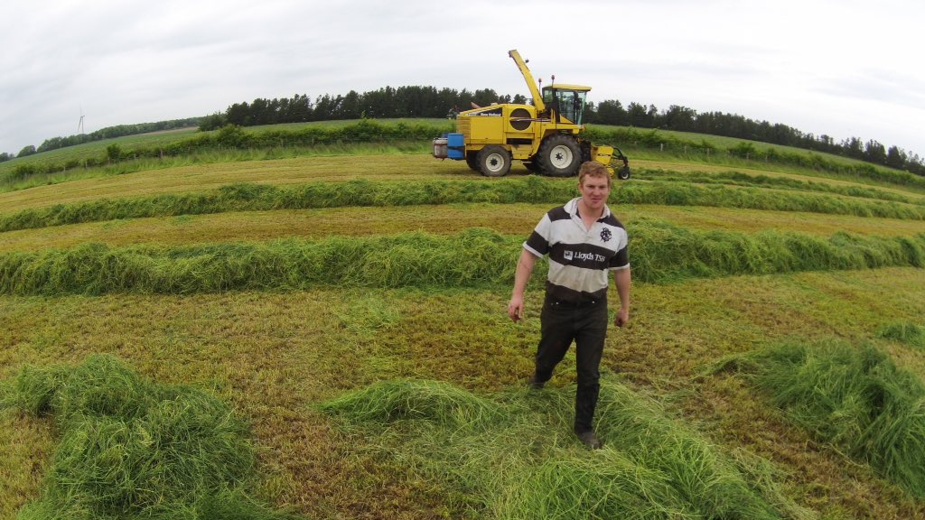 David Park tweet media