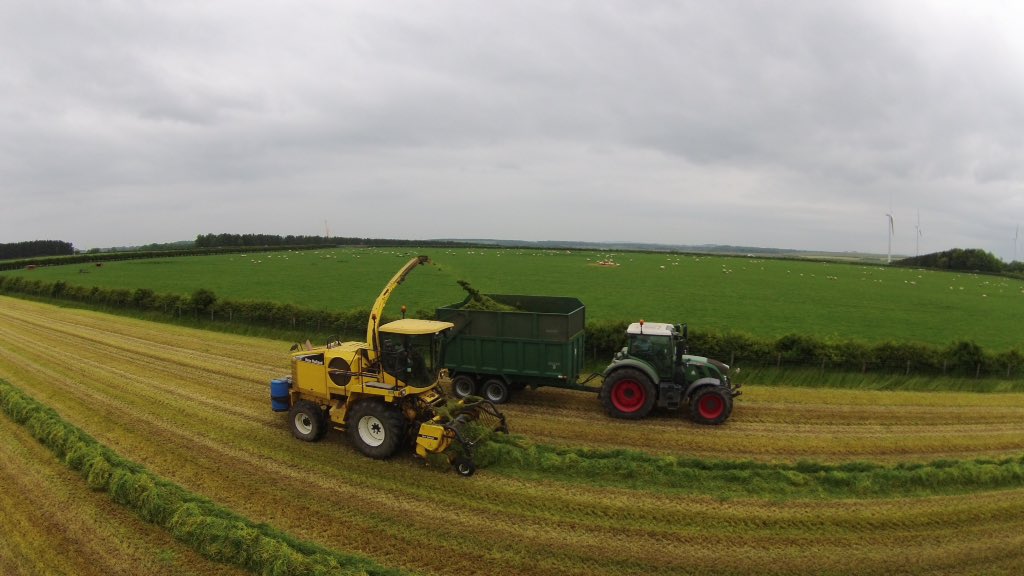 David Park tweet media