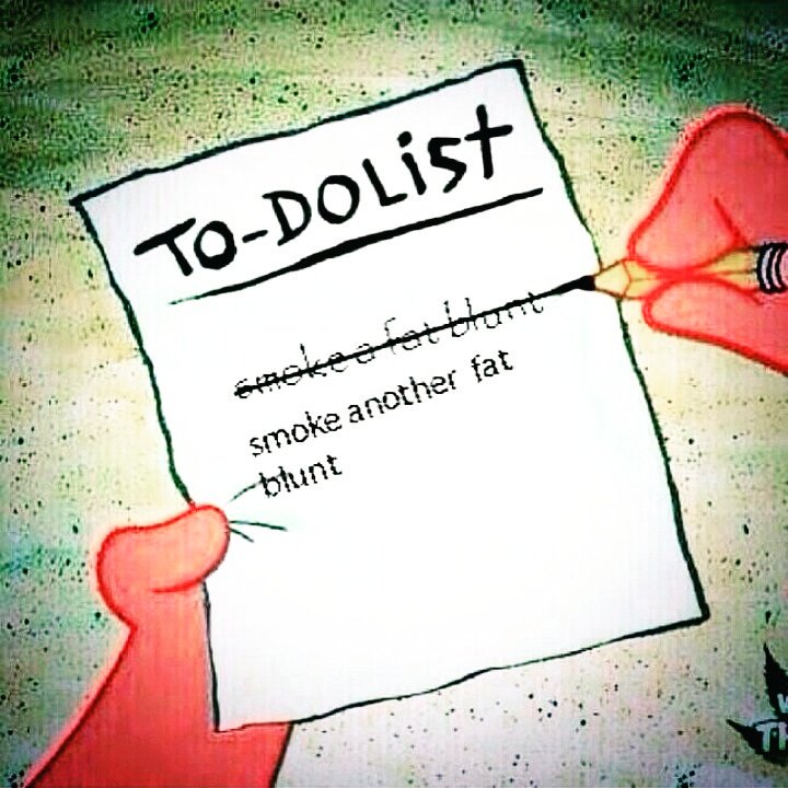 420SmokingClub's tweet photo. Smoke another fat blunt https://t.co/aeMawBtekl