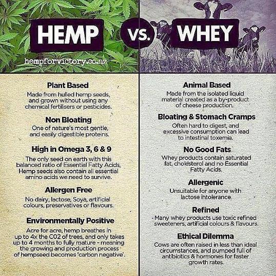 NurseMaryJInk's tweet photo. Nutritional and environmental comparison between Hemp and Whey https://t.co/co8RgKAmoy