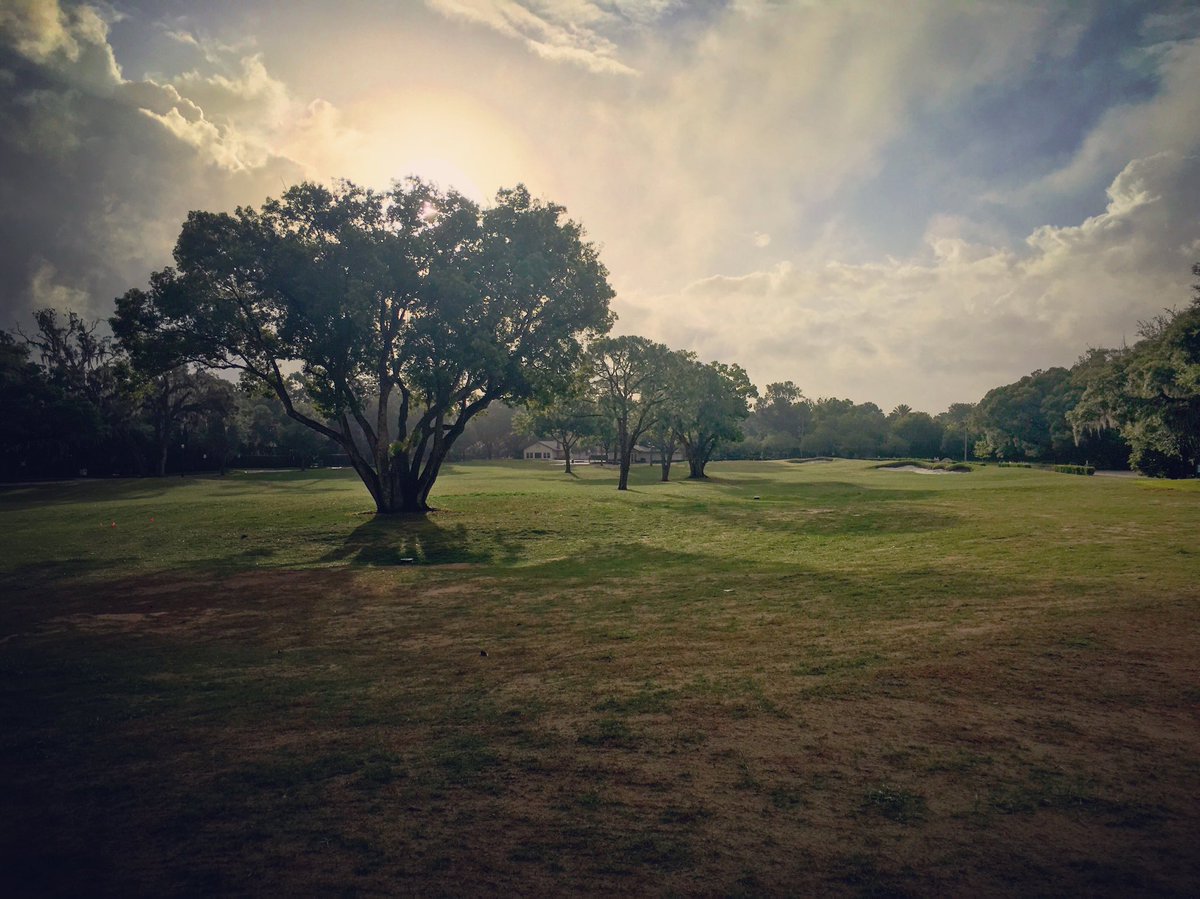 RileyJohnsGolf's tweet photo. Great pic of Winter Park's 9th taken today by @KeithRhebb.  Grow-in progressing nicely, can't wait to play. https://t.co/owj39cdOJI