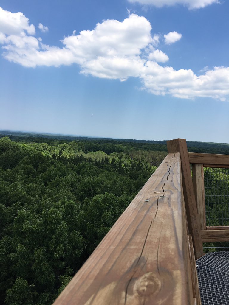 brooketokar17's tweet photo. Pretty neato day today https://t.co/csalVTO5ci