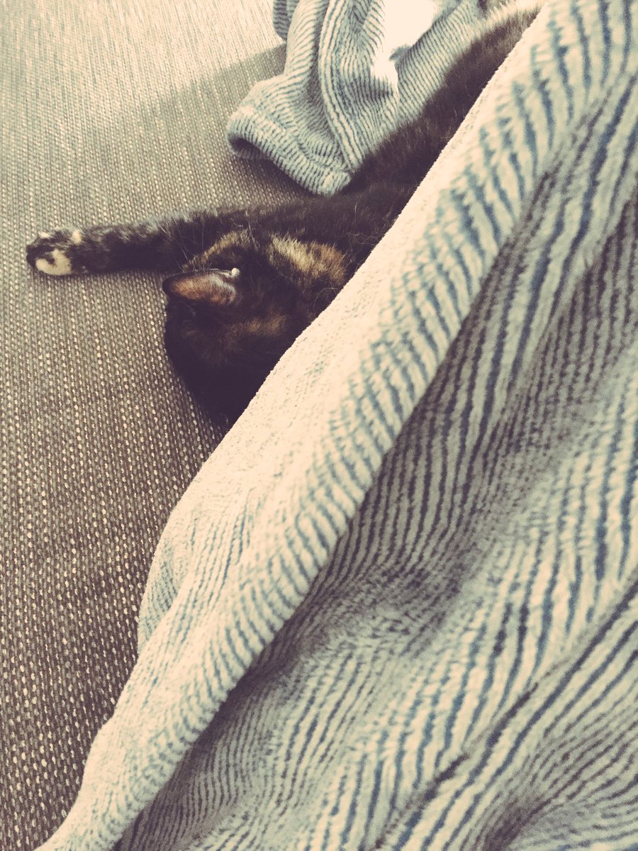 Ist das gemütlich hier...! Keine Ahnung, warum der Mensch das nicht so sieht.