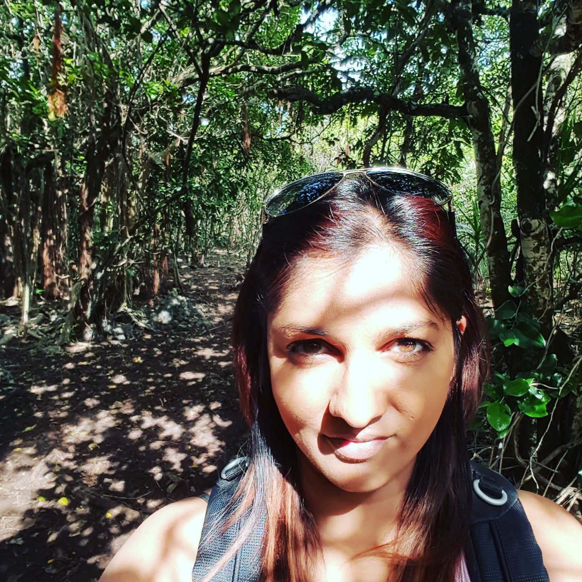 hashtagjozi's tweet photo. #Mauritius360 @mauritiusza #IslandLife https://t.co/5Vxt5hLftj