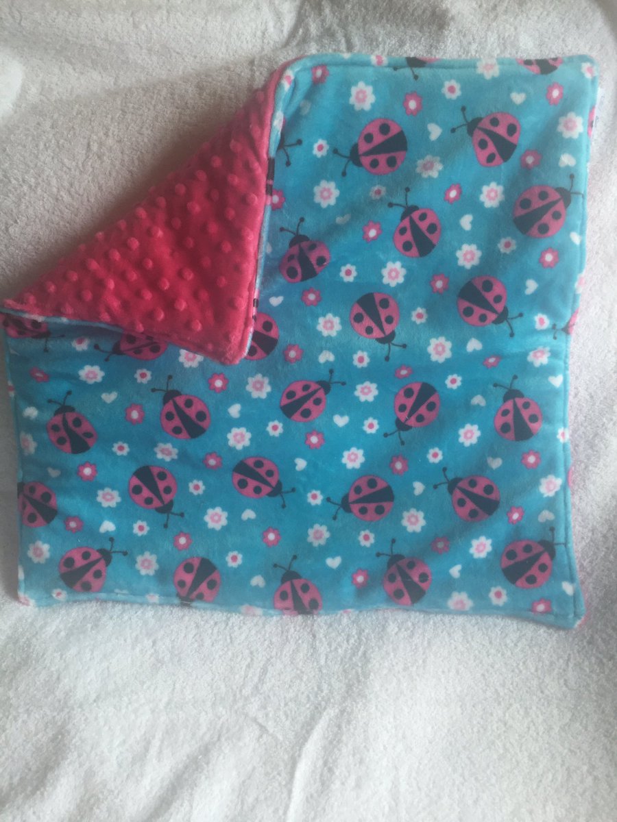 tinycuddles15's tweet photo. #ladybirds #blanket #rth #THL #htlmp https://t.co/44VzbkyXqx