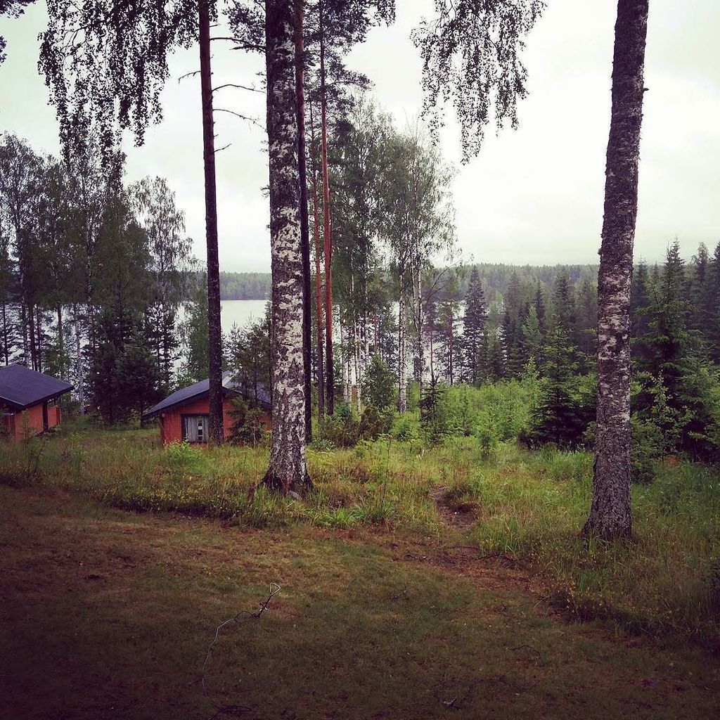 Hekez's tweet photo. #summercottage #finnishsummer #alwaysraininghere #almostmidsummer https://t.co/4bN2znBvdB https://t.co/CHCY3vh05W