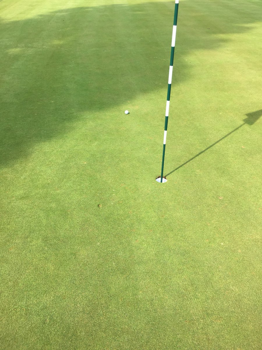 HumbleHeadhunt's tweet photo. A foot from a hole in one today!! #golf #gutted #holeinone https://t.co/cEMaBuRzp5