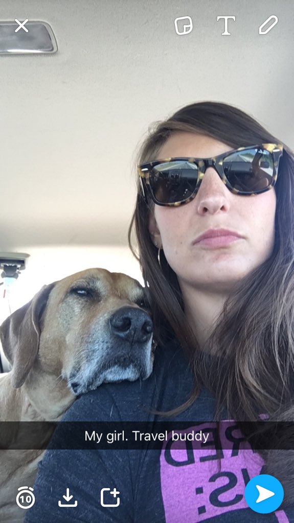 ErinRDN's tweet photo. Nothing like having a mute back seat driver. #dogsoftwitter #dogsonholiday https://t.co/8buP8YNC7G