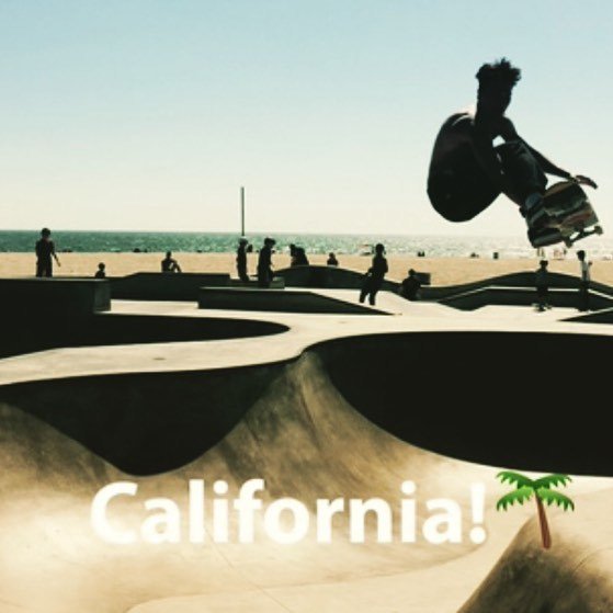 Glips_GeoSocial's tweet photo. Glips was in beautiful California for E3! ☀️😎🌴 #california #venicebeach #E3 #lovethisplace https://t.co/Mfl0YyJArD https://t.co/tIJqFu7dkc