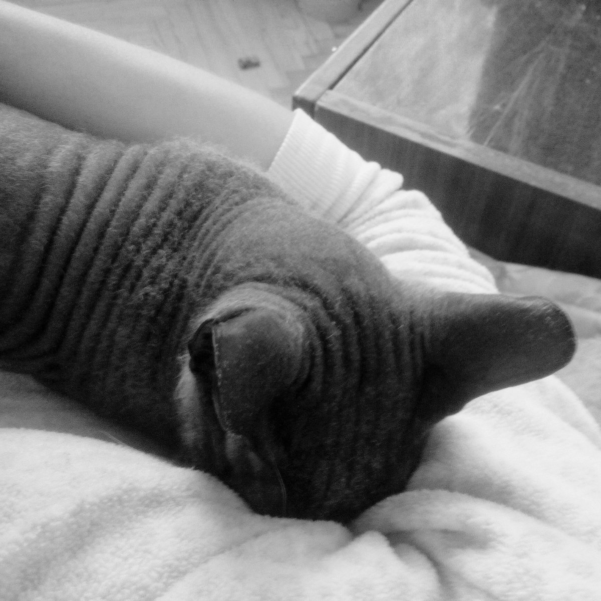 sku_dra's tweet image. current mood #solvemyproblems